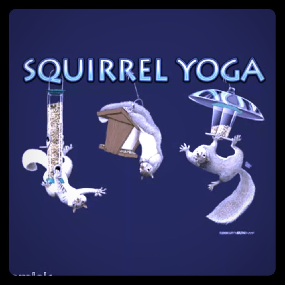 SQUIRREL NOVELTY TEE'S  Squirrel Yoga